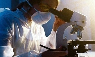 В Витебской области создадут биотехнологический кластер