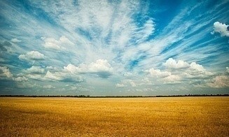 В Беларуси полностью запретят отчуждать земли сельхозназначения