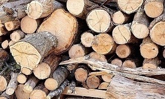 Минлесхоз не смог заместить европейские рынки сбыта пеллет после санкций