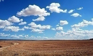 Сколько земель в Беларуси после аварии на ЧАЭС вернули в сельхозоборот