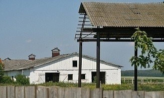 Имитировали блеяние и мычание: в России майнинговую ферму прятали в коровнике