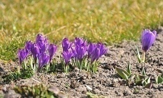 Какая погода ждет белорусов в первые выходные апреля