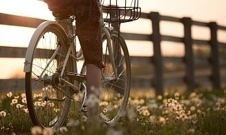 В Беларуси появится новый велозавод