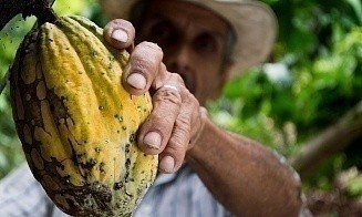 Что Беларусь будет поставлять в Никарагуа и какие товары планирует получать оттуда