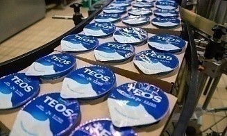 Как в Беларуси появились настоящие греческие йогурты