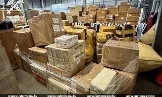Таможня задержала партию «серого» импорта стоимостью $800 тыс.