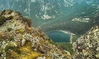 Туристка из Беларуси погибла в Словакии: на нее напал медведь