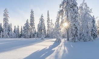 Самая холодная ночь в истории? Где в Беларуси 2 февраля было больше 30°C мороза