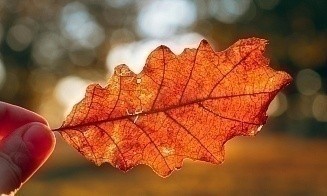 Тепло будет даже ночью. Прогноз погоды на короткую рабочую неделю