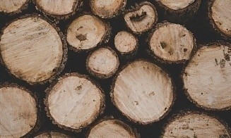 Азербайджан вошел в тройку главных покупателей лесопродукции на белорусской бирже