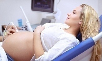 Сколько в Беларуси тратят из бюджета на бесплатное ЭКО