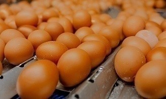 МАРТ рекомендовал магазинам снизить торговые надбавки на яйца