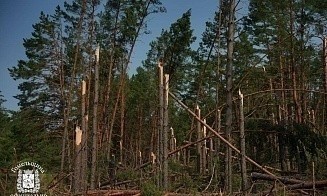 Сколько населенных пунктов до сих пор остаются без электричества после урагана