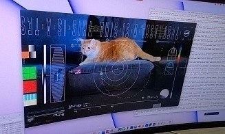 Эксперты NASA протестировали новую систему лазерной связи. Не обошлось без котиков