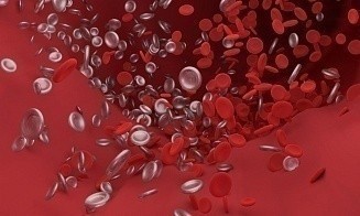 Ученые о снижении риска внезапной смерти: многое зависит от самого человека