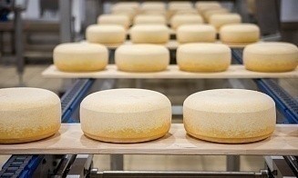 Сколько молока, масла и сыра выпускают в Беларуси
