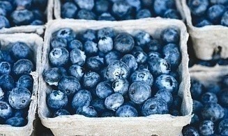 В МНС рассказали, кому не нужно платить налог с продажи ягод и лисичек