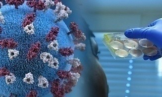 ВОЗ бьет тревогу: в мире на 80% выросло количество заражений COVID