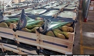 Таможня не пропустила в Россию груши почти на полмиллиона рублей