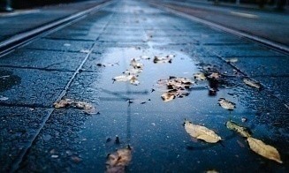 Ждать ли ночных заморозков? Прогноз погоды на предстоящие выходные