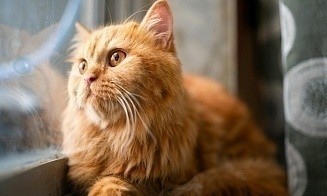 Какая погода будет в Беларуси в последние дни ноября