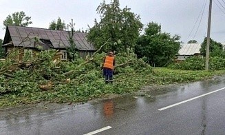 Каких бед натворил циклон «Игорь» в Беларуси