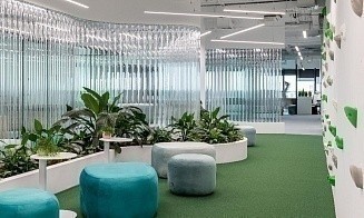 Экогайд от Betera. Как Green Office помогает спасать планету