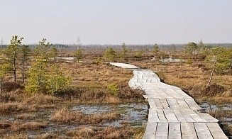 Белорусское приложение для экологических путешествий попало в топ-3 в Google Play 