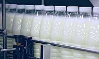 Владелец Exponenta  инвестировал в четвертый молочный завод в России