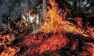 Туристов эвакуируют из отелей популярного курорта Турции
