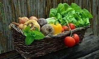 В Беларуси могут обязать торговые сети делать предоплату производителям овощей