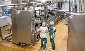 Топ-5 сфер в экономике, в которых заняты белорусы