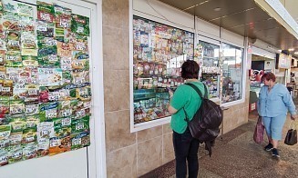 Белстат подсчитал, сколько ИП осталось в Беларуси и каким бизнесом они занимаются