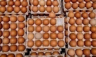 Беларусь стала лидером по экспорту в Россию куриных яиц