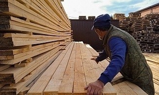Биржевой экспорт белорусских пиломатериалов за год вырос в 8 раз