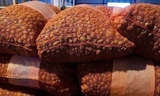 Две страны ЕАЭС получили квоты на беспошлинный ввоз картофеля