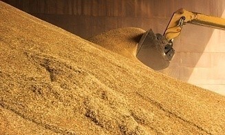 Калий в обмен на коридор через Беларусь? Как мир решает проблему украинского зерна