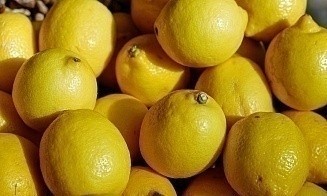 Как торговля будет решать проблему дефицита лимонов после прекращения поставок из Турции