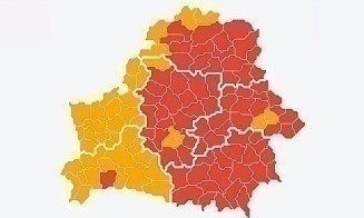 Запреты и ограничения на посещение лесов введены во всей Беларуси