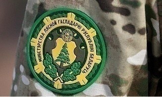 Минлесхоз снял ограничения на посещение лесов почти во всех регионах