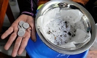 На Филиппинах можно получить деньги за убитых комаров