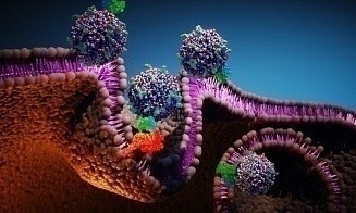 AstraZeneca покупает фармкомпанию из США и обещает прорыв в лечении рака