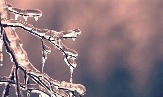 В Беларусь идут морозы