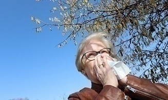 В Беларуси красный уровень пыльцы в воздухе. Это очень сильный аллерген