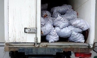 В Беларусь не пропустили крупную партию российской картошки, а в Россию — белорусских ягод