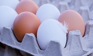 С начала года поставки куриных яиц из Беларуси в Россию выросли вдвое