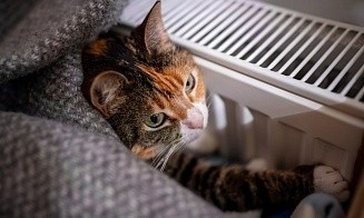 В Минске начали включать отопление в квартирах