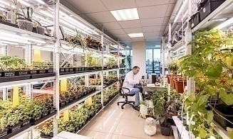 Кафе, где платят отпечатком пальца, и биолаборатория: как живет офис UST Inc.