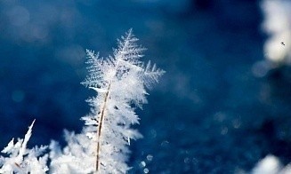 Из-за ночных заморозков в Беларуси объявили штормовое предупреждение на 11 мая