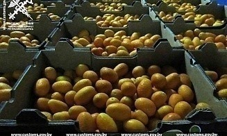 В Беларусь пытались незаконно провезти 3 тонны кокосов и 20 тонн арбузов